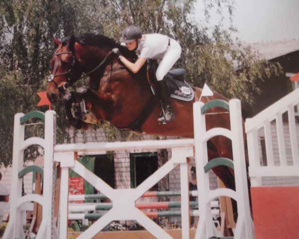jumper Esculino (Hanoverian, 2003, from Escudo II)
