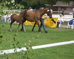 broodmare Agena (Holsteiner, 1986, from Gonzales)