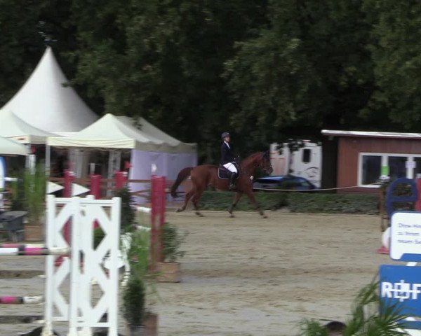 Equus Colonius - Reitanlage Brüse 2022