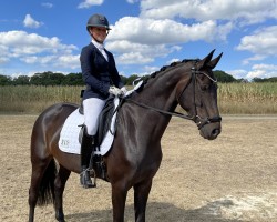 dressage horse Flower 81 (Hanoverian, 2017, from Finest)