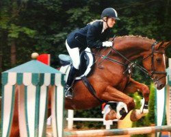 jumper Dina (Westphalian, 2003, from Dinard L)