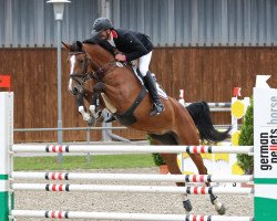 jumper Grace GE (German Sport Horse, 2006, from Balou du Rouet)