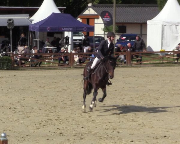 Equus Colonius - Reitanlage Brüse 2022