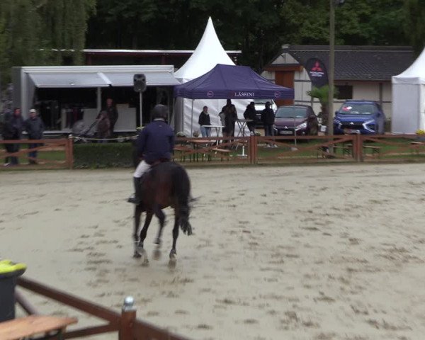 Equus Colonius - Reitanlage Brüse 2022