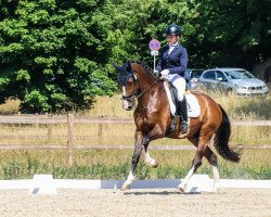 dressage horse Zoom's Zazou (Hanoverian, 2018, from Zoom)