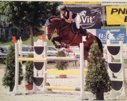 jumper Sir Scally CH (+) (Swiss Warmblood, 2008, from Saphir von der Rossi CH)