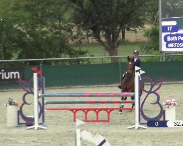 Video of Mirtosardo