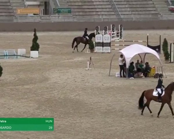 Video of Mirtosardo