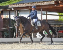 dressage horse Deep Dance M (Oldenburg, 2015, from Donaufischer)