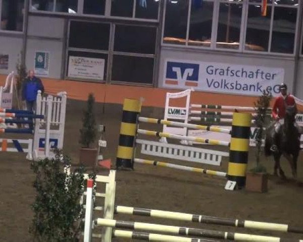 jumper Valle Rouge (Oldenburg, 2002, from Landsieger I)