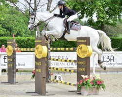 jumper Cadira Mancluf (Italian Warmblood, 2010, from VDL Cardento 933)