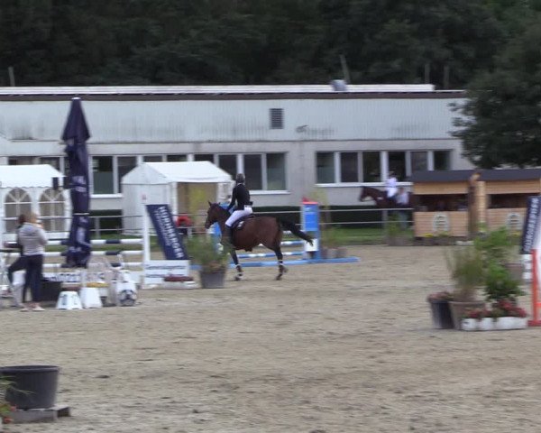 Reitturnier Langenfeld - Gut Langfort 2022