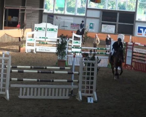 jumper Jaquelina 2 (Oldenburg, 2002, from Cantona)