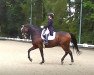 dressage horse Abano 23 (Oldenburg, 2000, from Abanos)