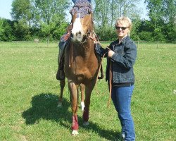 horse Miss Annies Harmony (Quarter Horse, 2004, from A Dazzlin Finale)