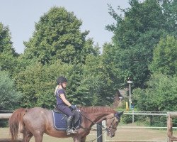 Zuchtstute Valerie (Deutsches Reitpony, 1992, von Rubinstein I)