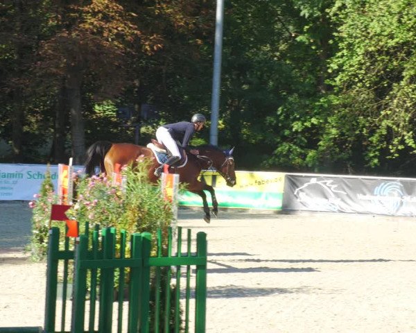 Reitturnier Karlsfeld/Obb. 2022
