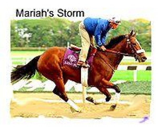 Zuchtstute Mariah's Storm xx (Englisches Vollblut, 1991, von Rahy xx)