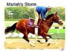 Zuchtstute Mariah's Storm xx (Englisches Vollblut, 1991, von Rahy xx)