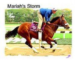 broodmare Mariah's Storm xx (Thoroughbred, 1991, from Rahy xx)