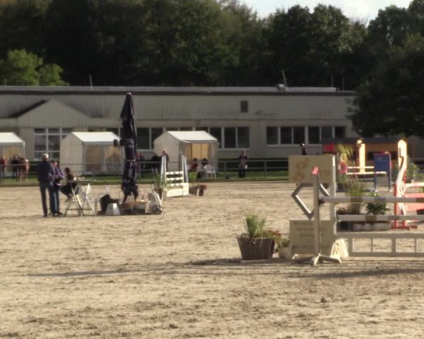 Reitturnier Langenfeld - Gut Langfort 2022