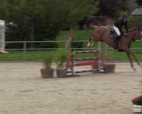 Reitturnier Langenfeld - Gut Langfort 2022