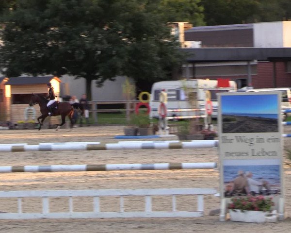 Reitturnier Langenfeld - Gut Langfort 2022