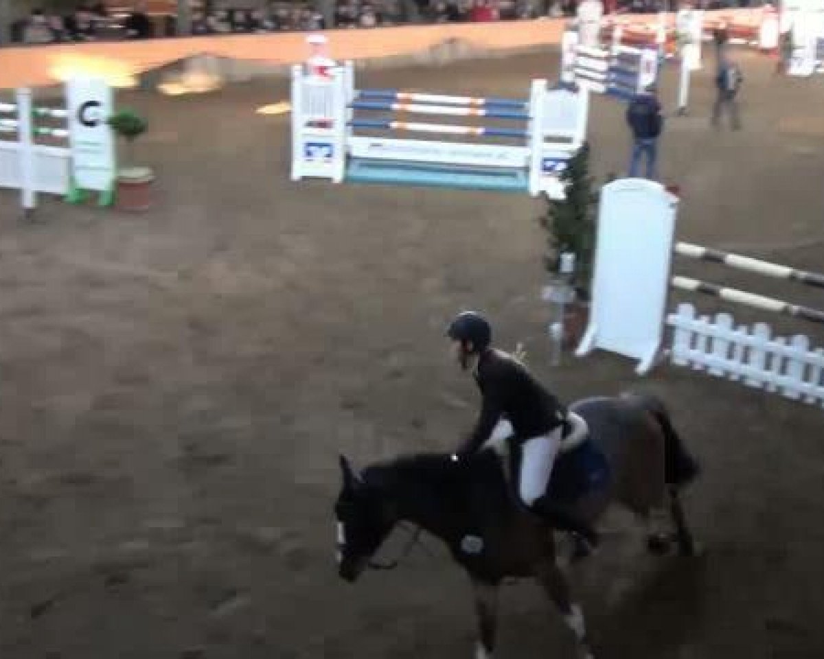 broodmare U2 Grace (KWPN (Royal Dutch Sporthorse), 2001, from Heartbreaker)