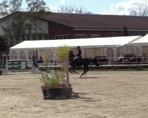 Reitturnier Langenfeld - Gut Langfort 2022