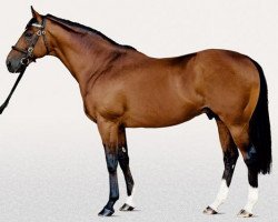 stallion Tiger Hill xx (Thoroughbred, 1995, from Danehill xx)