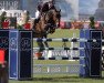 jumper Edoctro (Belgian Warmblood, 2004, from Indoctro)