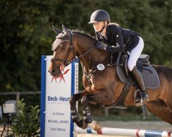 jumper My little Sensation (New Forest Pony, 2010, from Poppings Macho)