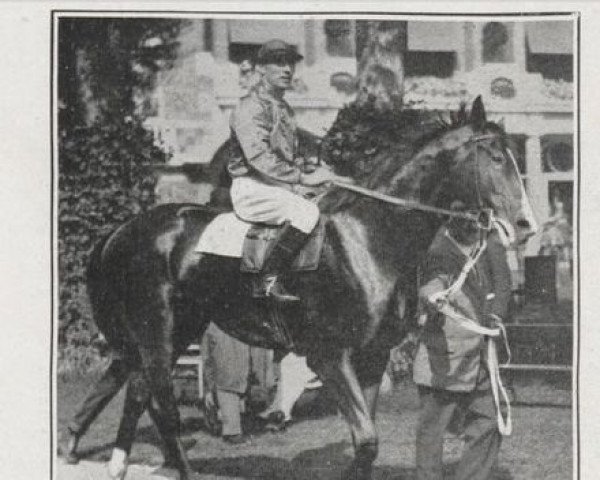 stallion Altay xx (Thoroughbred, 1923, from Durbar II xx)