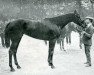 broodmare La Francaise xx (Thoroughbred, 1907, from Simonian xx)