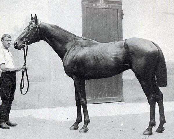 stallion Le Roi Soleil xx (Thoroughbred, 1895, from Heaume xx)