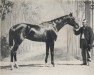 stallion Vermouth xx (Thoroughbred, 1861, from The Nabob xx)