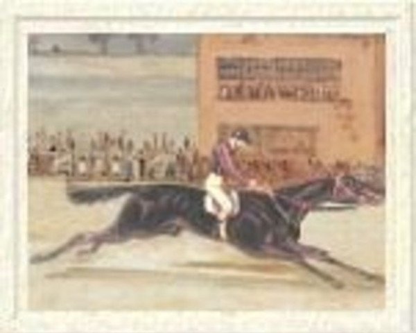 stallion The Nabob xx (Thoroughbred, 1849, from The Nob xx)