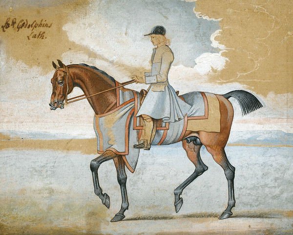 stallion Lath xx (Thoroughbred, 1732, from Godolphin Arabian)