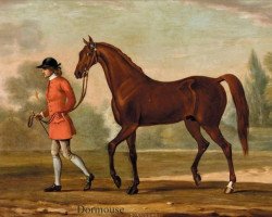 stallion Dormouse xx (Thoroughbred, 1738, from Godolphin Arabian)