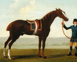 stallion Leedes Old Careless xx (Thoroughbred, 1692, from Spanker xx)