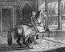 stallion Sultan (Arabian thoroughbred, 1637)