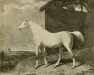 stallion Arbutus xx (Thoroughbred, 1817, from Walton xx)