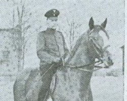 stallion Armeemarsch (Trakehner, 1935, from Poseidon)