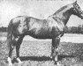 stallion Catalin xx (Thoroughbred, 1921, from Frileux III xx)