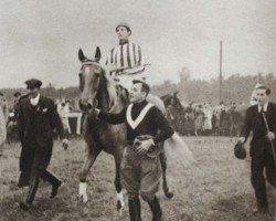 broodmare Norma (Czech Warmblood, 1927, from Delibáb xx)