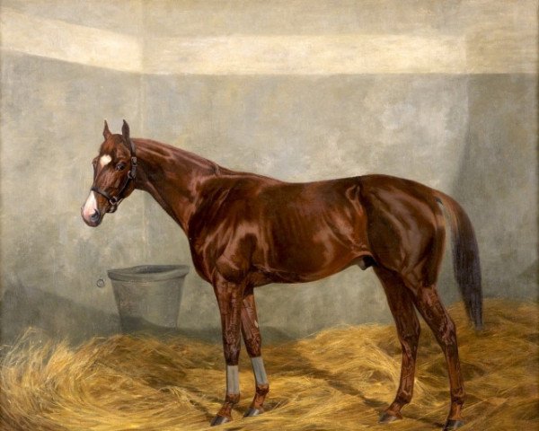 stallion Fantome xx (Thoroughbred, 1905, from Falb xx)