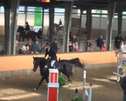 dressage horse Chenoa (Hessian Warmblood, 2004, from Carpe Noctem)