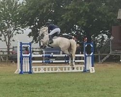 jumper Clara T (Hanoverian, 2016, from Clinton's Heart)