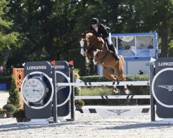 Springpferd Rummikub de Muze (Belgisches Warmblut, 2017, von Nixon van 't Meulenhof)