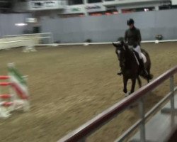 dressage horse Freiherr (Westphalian, 2008, from Floresco NRW)